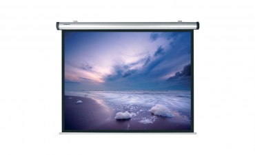 Экран Projecta Dynamic Electrol