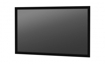 Экран Projecta Parallax UST