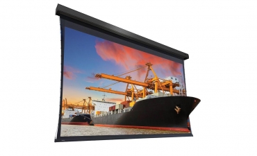 Экран Projecta Extensa