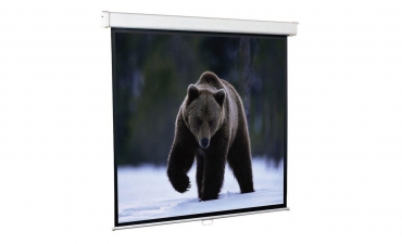 Настенный экран ScreenMedia Economy