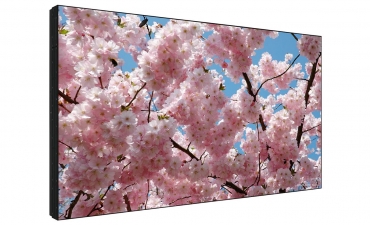 LED панель Sharp [PNV602] 1366 x 768