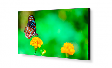 LED панель NEC MultiSync [UN492VS] 1920х1080