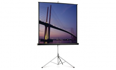  Экран Projecta Piсture King 