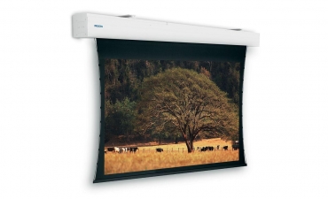  Экран Projecta Tensioned Elpro Large Electrol 