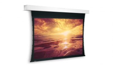  Экран Projecta Tensioned Descender Large Electrol 