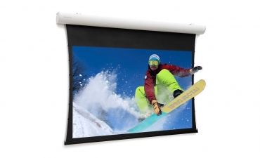  Экран Projecta Tensioned Elpro Concept 